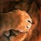timon2403