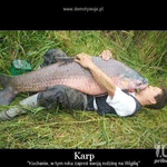 Коропець