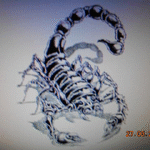 SCORPION  1975