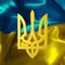 Лысый