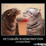 vidmakosa