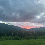 Nеtflїх