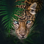 catherine8
