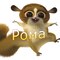 Роман 27