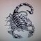 SCORPION   1975