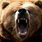 MadBear