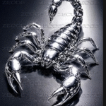 __ScorpioN__