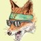 -_FireFox_-