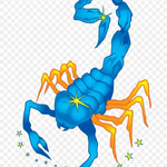 ГАЛИ МИЛЛЯТОВИЧ