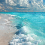 Ocean Dreams